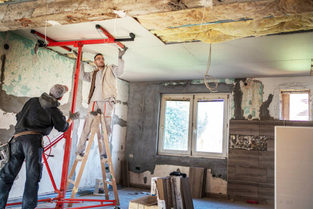 Best Residential Insulation in Maple Plain, MN