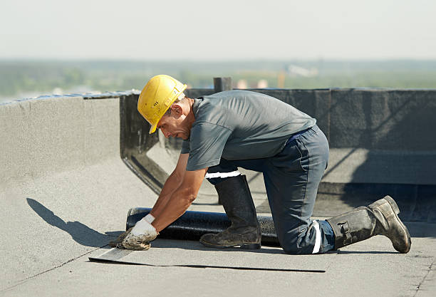 Best Insulation Maintenance and Repair in Maple Plain, MN